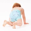 Neoprenowa pieluszka do pływania Happy Nappy latawce