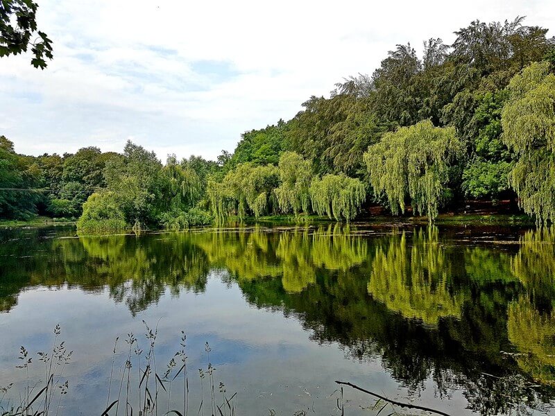 Staw wędkarski Szczecin